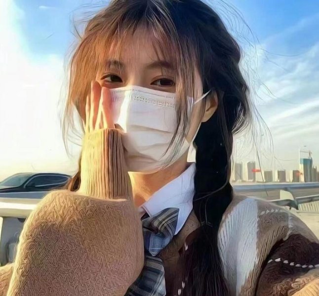 影子拳手