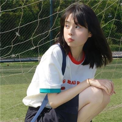 狗的生涯